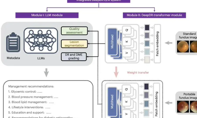 我国科研团队领跑健康AI，DeepDR-LLM：国际首个多模态糖尿病诊疗大模型问世