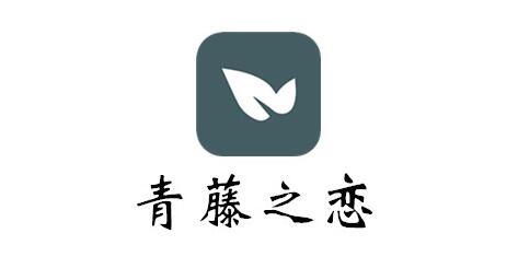 《青藤之恋》如何开启隐私模式