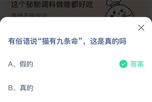 有俗语说猫有九条命这是真的吗？