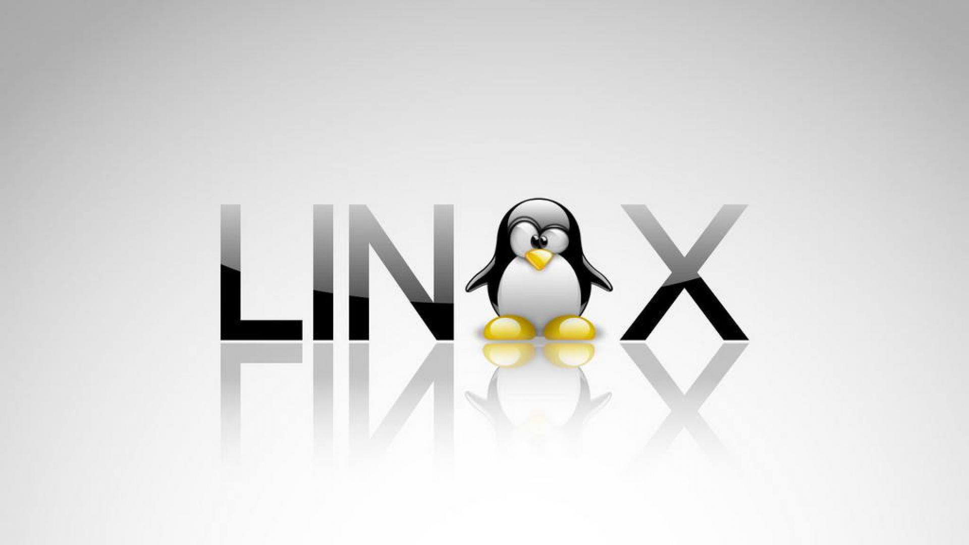 Linux文件（目录）命名规则