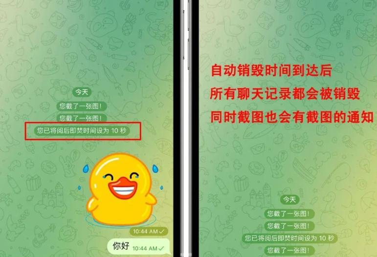 《Telegram》电报加密与阅后即焚有什么区别