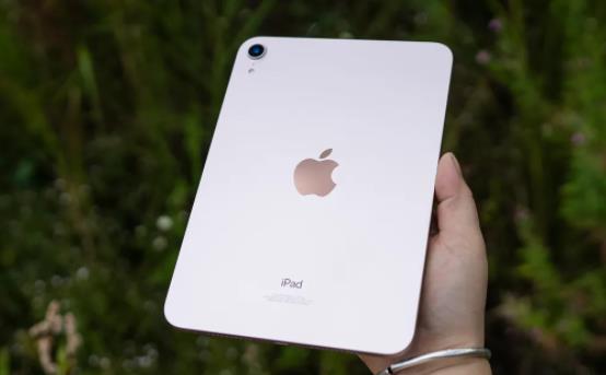 APPLE IPAD MINI (5TH GEN.)