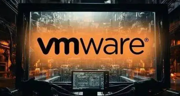 博通VMware ESXi新动向：大幅精简语言支持，仅余英、日、法、西四种