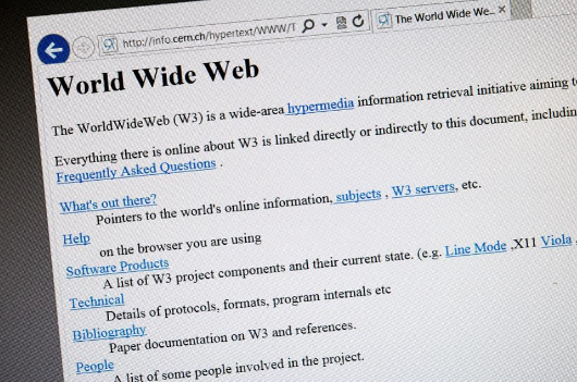 Tim Berners-Lee于1991年8月6日向公众介绍了WWW和第一个web page and website