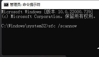 Win11打开设置闪退怎么解决