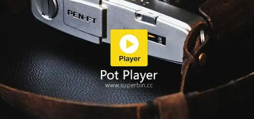 《PotPlayer》怎么更改简索复选字体色