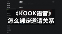 KOOK语音