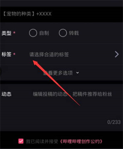 《必剪》怎么给视频打上标签