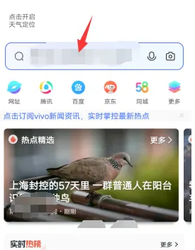 vivo手机浏览器怎么查看浏览记录（vivo浏览器浏览记录查看方法步骤）