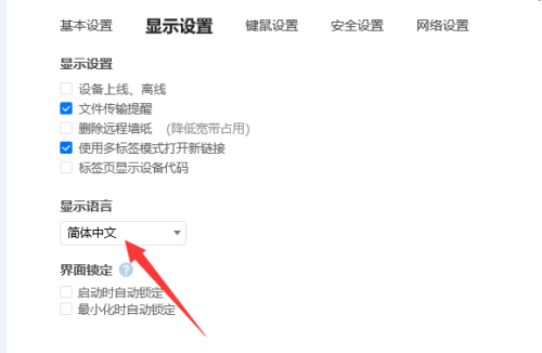 《ToDesk》怎么设置简体中文