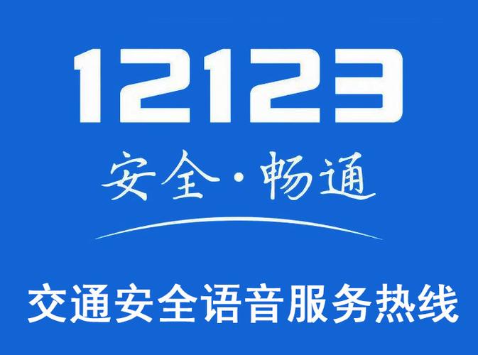 《交管12123》怎么查看罚单编号