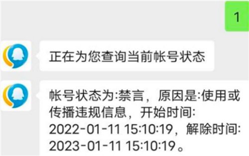 王者荣耀禁言怎么看解除时间2022最新