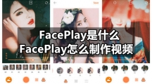 faceplay