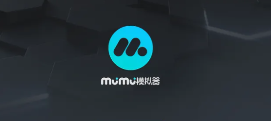 《网易MuMu模拟器》怎么设置IMEM码