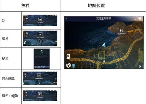 黑色沙漠手游在哪钓鱼 黑色沙漠钓鱼点位置合集