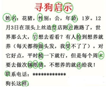 《疯狂梗传》寻狗启示​找出20个错别字​怎么过